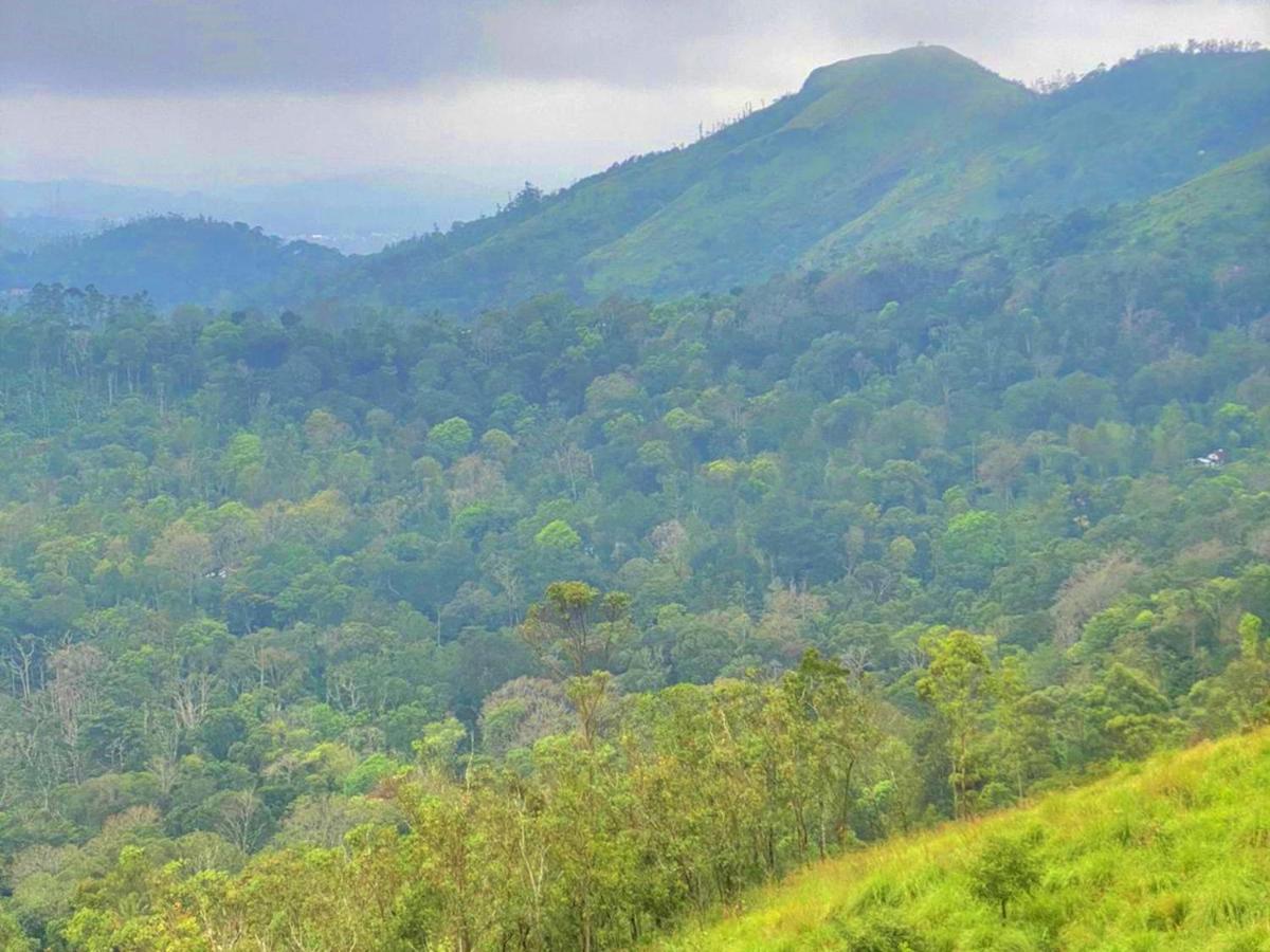 The Windy Mist Resort Munnar Chinnakanal Kültér fotó